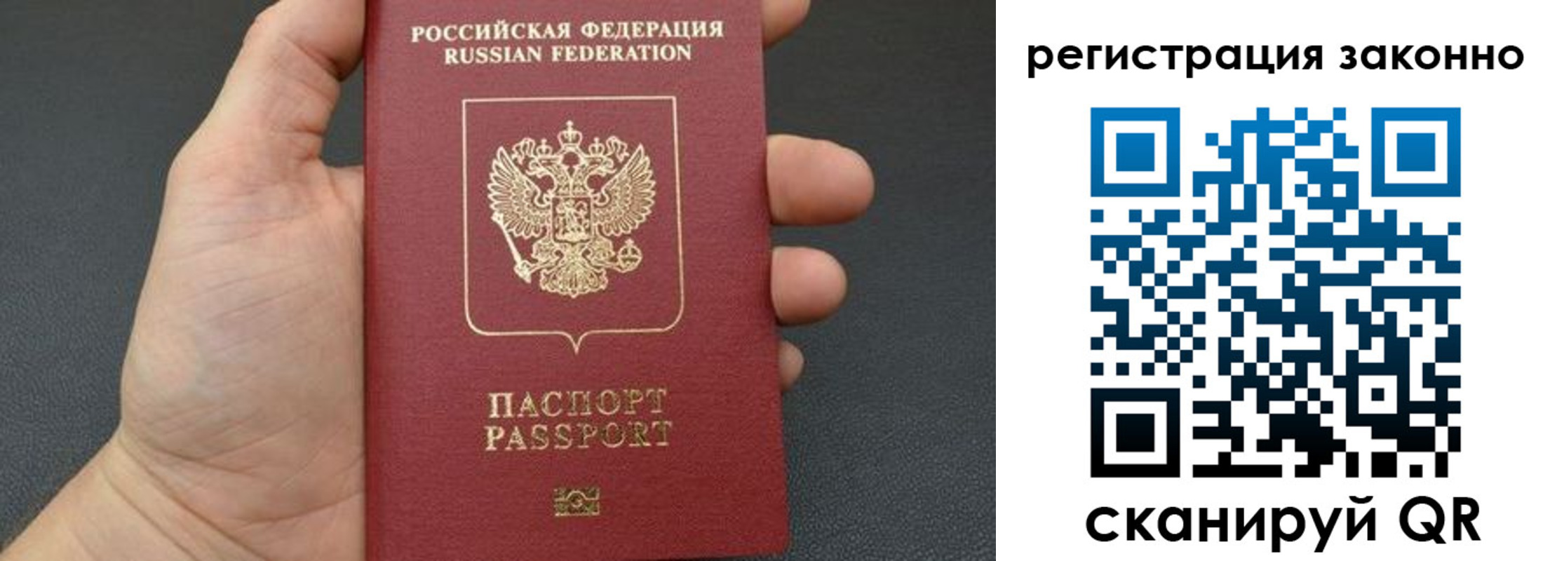 пропишу в квартире в Владимире